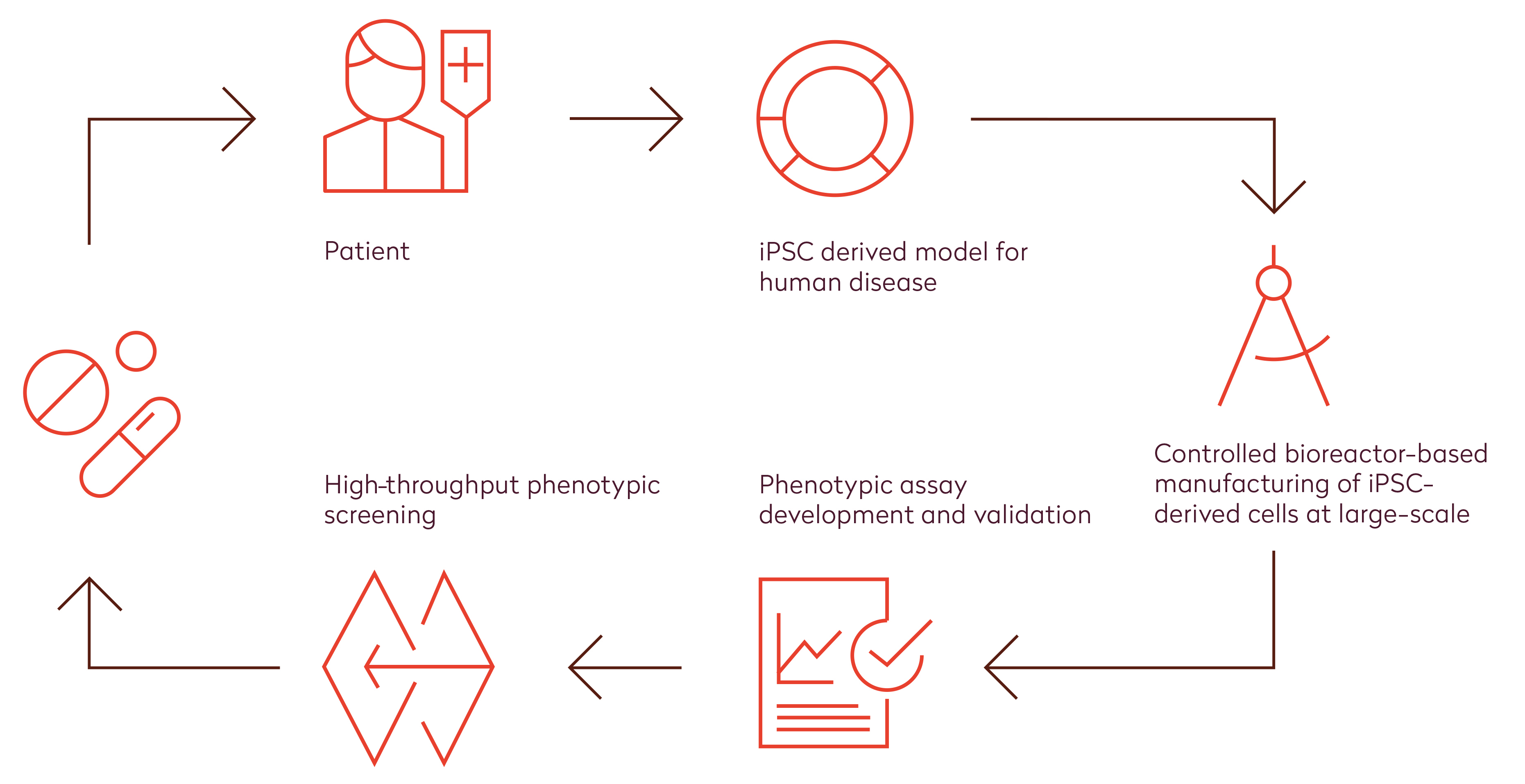 hiPSC-derived functional cells