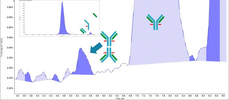 native analysis