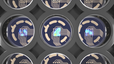 Image showing An MEA plate that allows scientists to track up to 96 neural cell cultures simultaneously