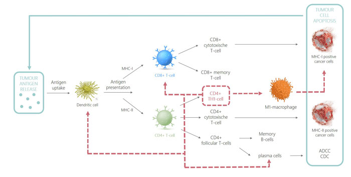 Figure 1 CD4 article