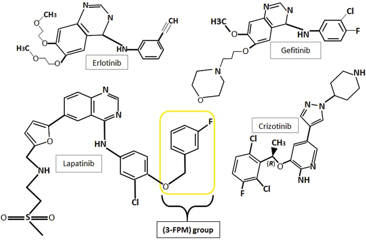 Figure 2: The chemical structures of the first generation tyrosine kinase inhibitors, erlotinib, gefitinib and crizotinib and second generation inhibitor lapatinib showing their heterocyclic structures and quinazoline rings. Lapatinib also comprises a 3-flourophenylmethoxy (3-FPM) group. Images adapted from 5,16,32