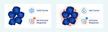 Snapshot of TGF-β inhibitors in development