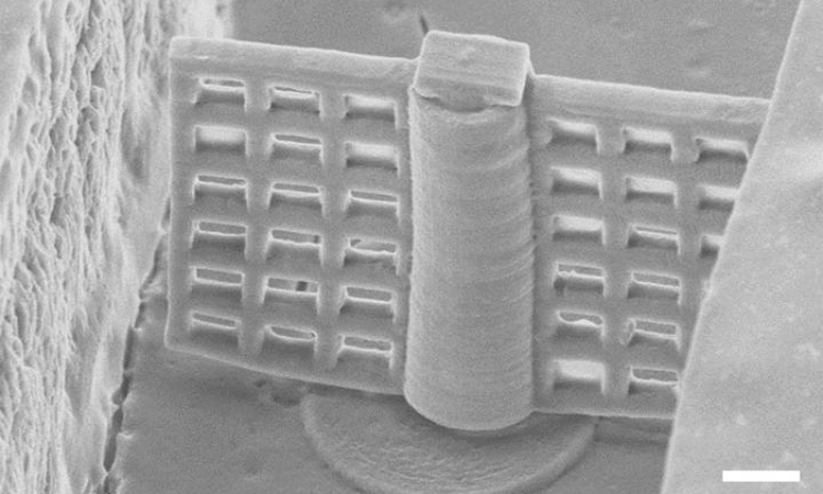 Microfilter for lab-on-a-chip