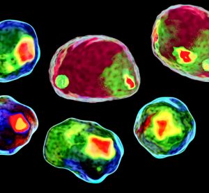 Flow cytometry