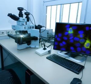 Fluorescent microscopy
