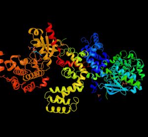 G-protein-coupled-receptors-(GPCRs)