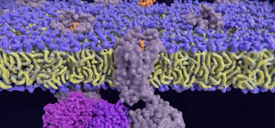GPCR