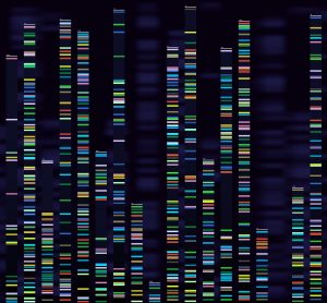 genetic sequences
