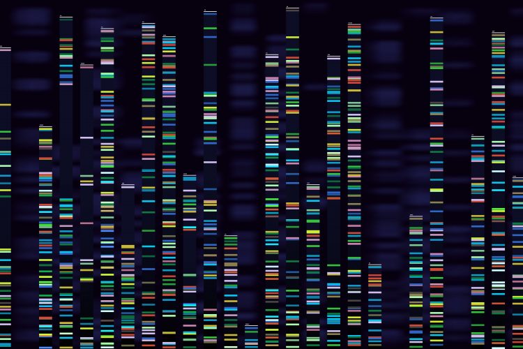 genetic sequences