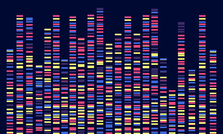 Genomics and diabetes