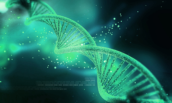 Genomics in drug development and safety testing; from target identification to genomic toxicology