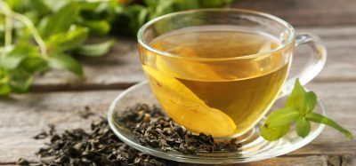 alzheimer's green tea