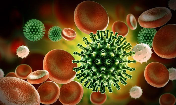 A better understanding of how HIV-1 evades the immune system