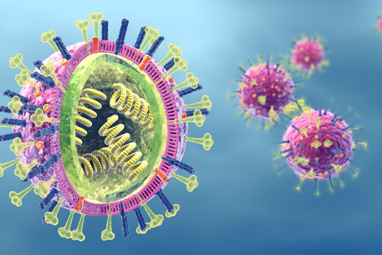 section of a viral particle showing internal RNA