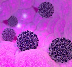 Image showing 3D rendering of HPV virus
