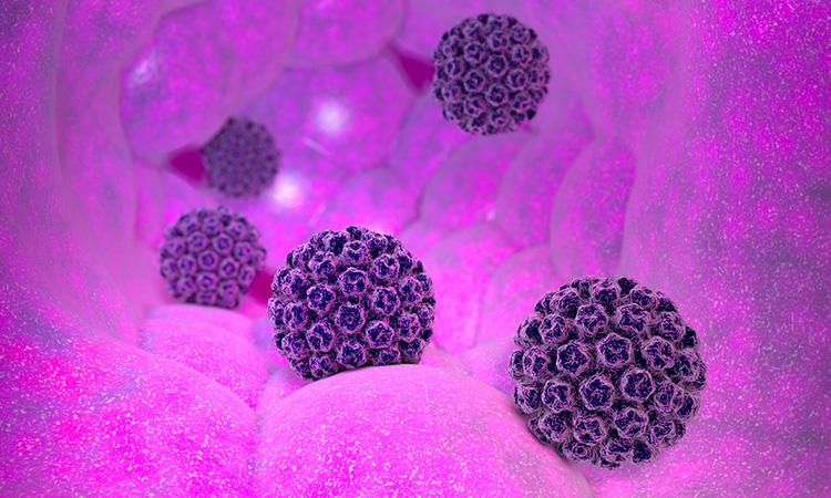 Image showing 3D rendering of HPV virus
