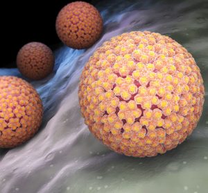 HPV testing