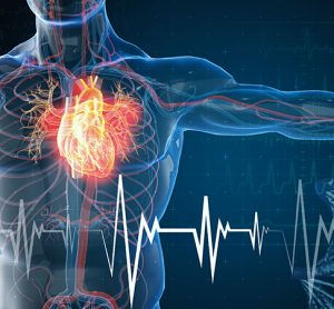 Cardiology and epigenomics