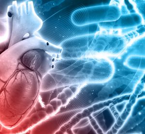 Heart and gene therapy