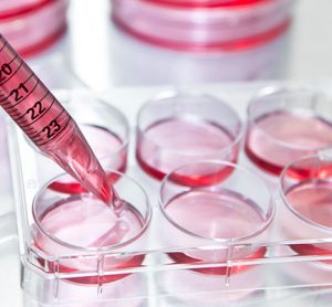 Streamlining Drug Discovery Assays for Cancer and Cardiovascular Disease