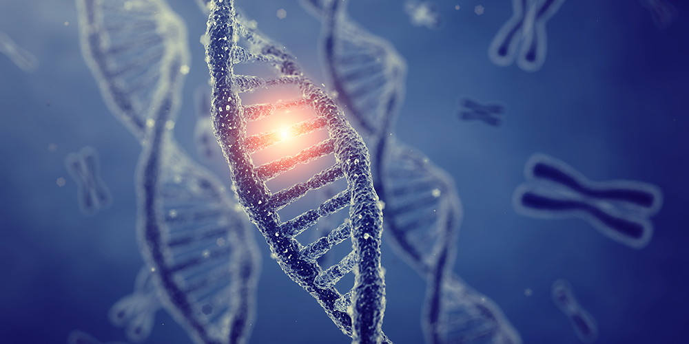 Using Bioactivity Profiling to Support the Progression of Phenotypic Hits