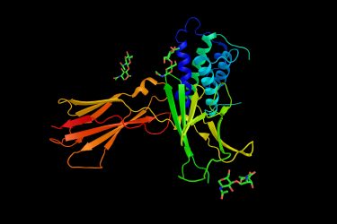 molcular structure of interleukin 7 (IL-7)