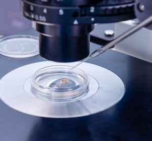 A focus on international regulations on IVD