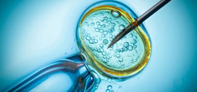 IVF