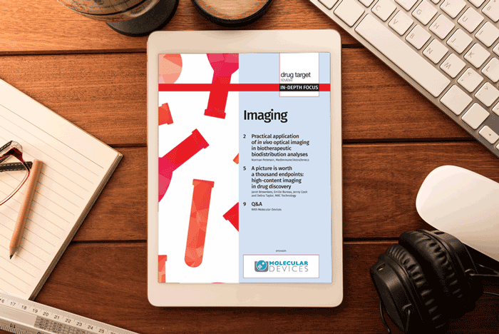 Imaging In-Depth Focus 2016