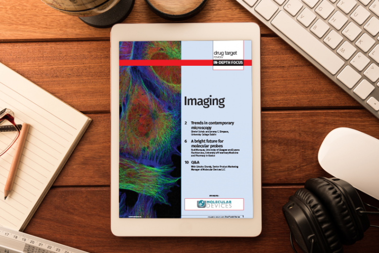 Imaging In-Depth Focus 2015