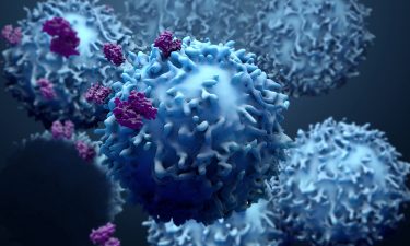 Cancer immunotherapies