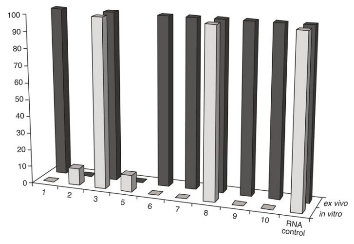 omparison of RNA cleavage activity of the artRNases after their incubation in vitro with the isolated TBEV RNA and ex vivo (in purified extracellular virions)