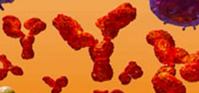 Immunology Screening on the iQue Screener