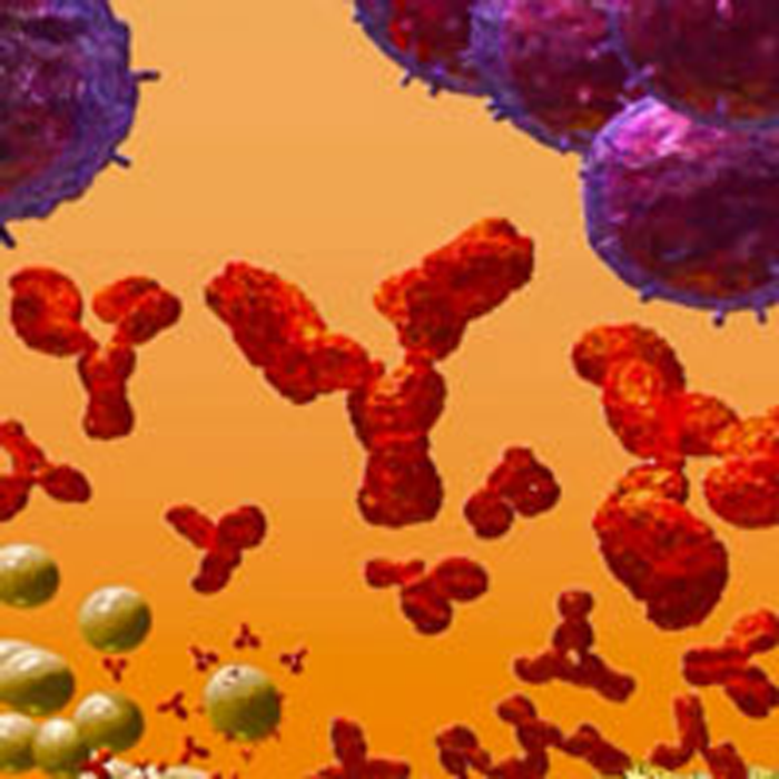 Immunology Screening on the iQue Screener