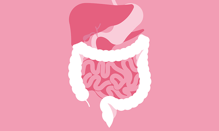 Compounds in intestine against SARS-CoV-2