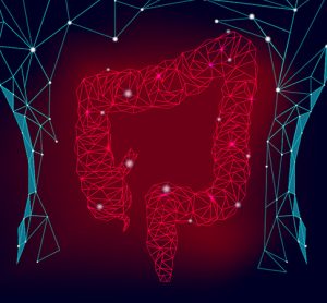 Intestinal organoids
