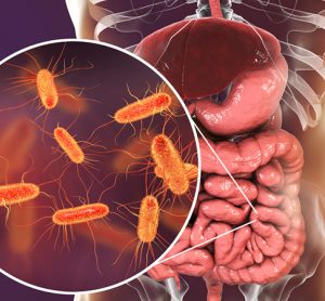 AI method for bacteria in intestines