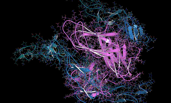 Intracellular target validation in cellular systems … using peptides!