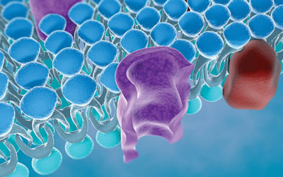 Ion channels: Small molecules versus biologics - the quest for the ideal Nav1.7 inhibitor