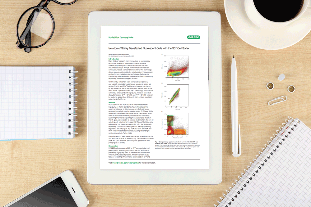 Isolation-of-stably-transfected-fluorescent-cells-with-the-S3-Cell-Sorter