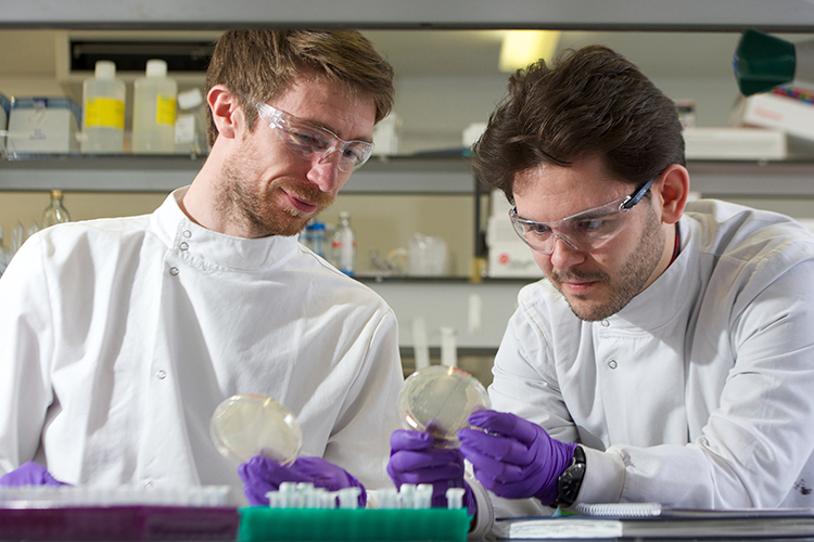 Jc Kay and a colleague wearing lab coats in a lab and looking at microbes in a petri dish