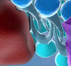 Key Ligand-Gated Ion Channels in CNS Drug Discovery