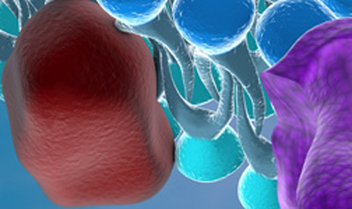 Key Ligand-Gated Ion Channels in CNS Drug Discovery