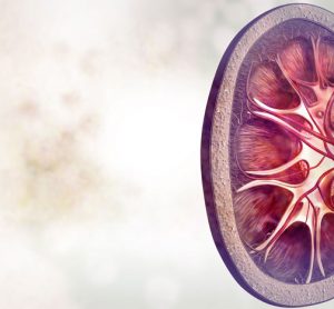 Kidney disease compound