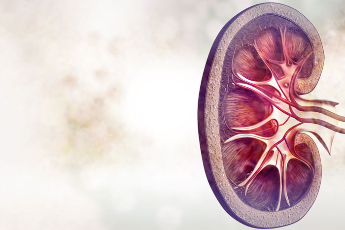 Kidney disease compound