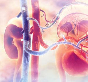 Kidney disease