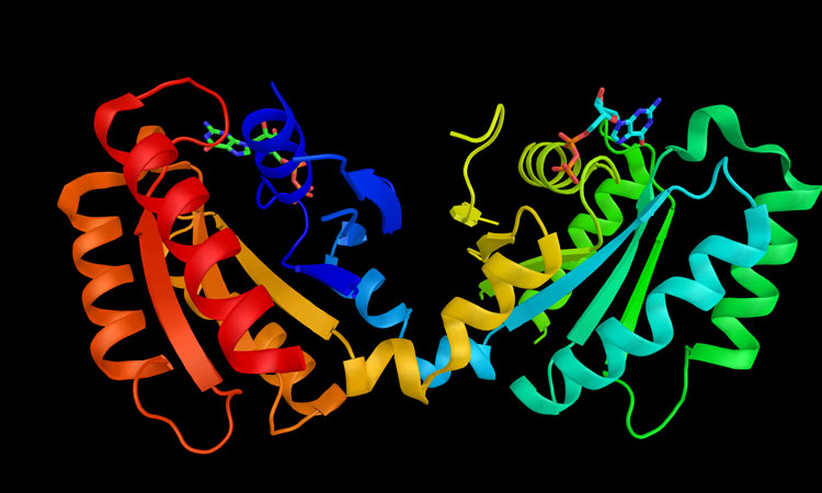 LRRK2 elucidation