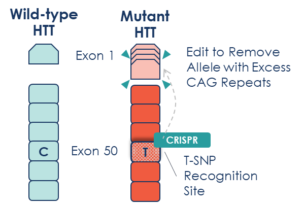 allele selective approach