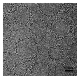 Liposomes