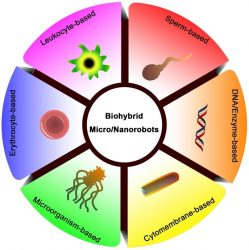 Image showing Various biohybrid micro- and nanorobots